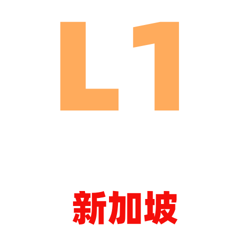 买家账号L1新加坡